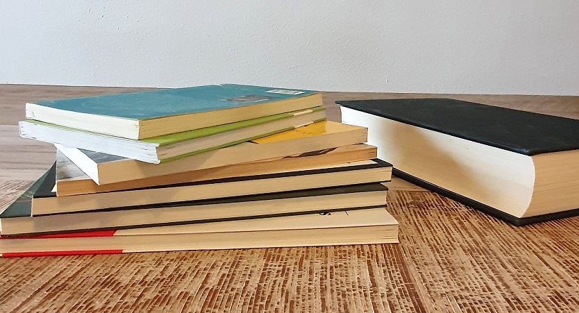 La novela corta o lo bueno si breve…